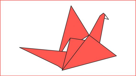 passaro 01v2